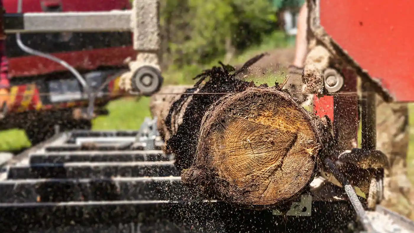 Stammholz auf mobiler Säge